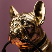 Werner Voss - Lampada da Tavolo Dog Francis Francis il Cane Gold