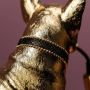 Werner Voss - Lampada da Tavolo Dog Francis Francis il Cane Gold