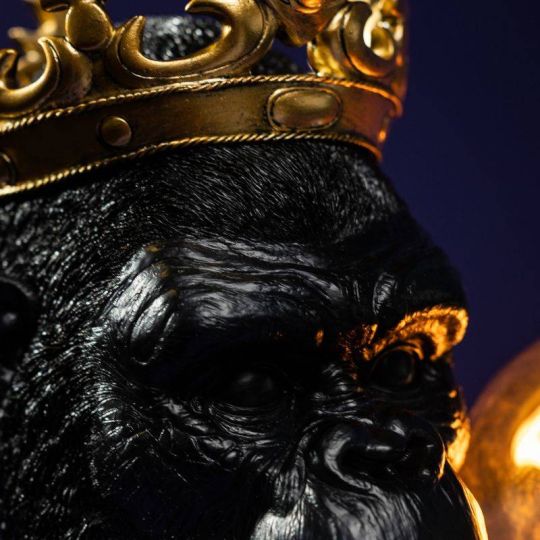 Werner Voss - Lampada da Parete Monkey Kong La Scimmia Kong Black