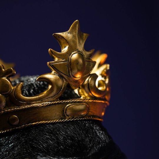 Werner Voss - Lampada da Parete Monkey Kong La Scimmia Kong Black