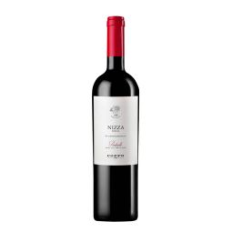 Coppo - Nizza DOCG Pontiselli 2019 0,75 lt.