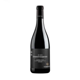 Vinchio Vaglio Serra - Barbera d'Asti Superiore DOCG Sei Vigne Insynthesis 2017 0,75 lt.