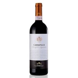 Tenute Lunelli - Montefalco Sagrantino DOCG Carapace Biologico 2020 0,75 lt.