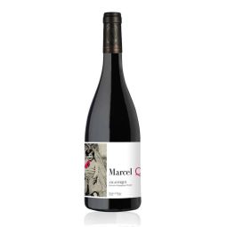 Cheval Quancard - Atlantique IGP Rouge Marcel Q3 Cabernet Franc 2022 0,75 lt.