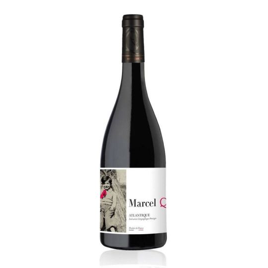 Cheval Quancard - Atlantique IGP Rouge Marcel Q3 Cabernet Franc 2022 0,75 lt.