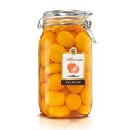 Mazzetti d'Altavilla - Frutta al Liquore Linea Mescita Albicocche con Vodka 1,5 kg.