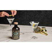 Mazzetti d'Altavilla - Kit Momento Martini Tasting Experience con Gin Black Edition + 2 Calici Martini + Shaker + Strainer