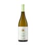 Cascina Saria - Langhe Arneis DOC "Le Rune" 2025 0,75 lt. - Enoteca Bevi Bene