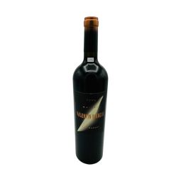 Vintage Bottle - Valentin Bianchi Malbec San Rafael 1999 0,75 lt. - COD. 11152 - Enoteca Bevi Bene