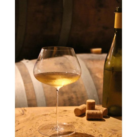 Zalto - Calice Degustazione Zalto Denk'Art Balance