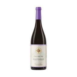 Cascina Saria - Dolcetto d'Alba DOC Corte delle Viole 2025 0,75 lt.