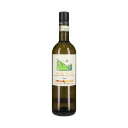 Matteo Correggia - Roero Arneis DOCG 2025 0,75 lt.