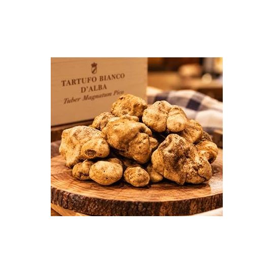 Tartufo Bianco d'Alba Fresco 100 gr Tuber Magnatum Pico - Enoteca Bevi Bene