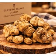 Tartufo Bianco d'Alba Fresco 200 gr Tuber Magnatum Pico - Enoteca Bevi Bene