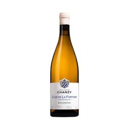 Maison Chanzy - Bouzeron "Les Trois" 2021 0,75 lt. - Enoteca Bevi Bene