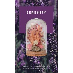 Meridiani Bouquet - Profumatore per ambiente Cloche Botanica con Olio Essenziale Serenity