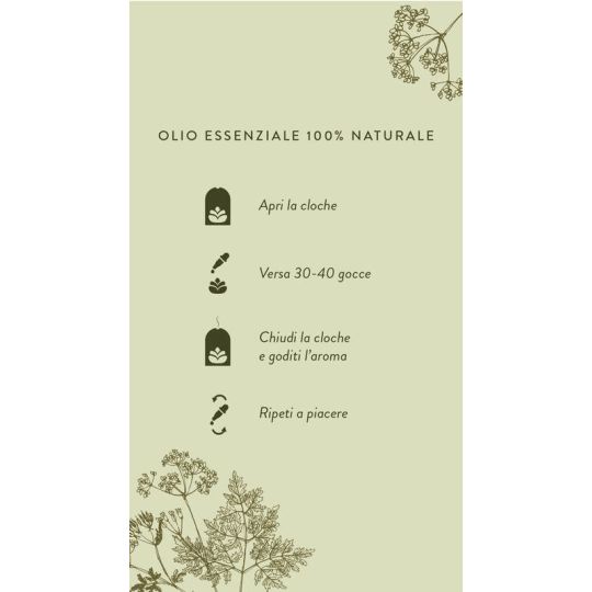 Meridiani Bouquet - Profumatore per ambiente Cloche Botanica con Olio Essenziale Serenity