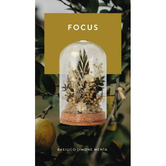 Meridiani Bouquet - Profumatore per ambiente Cloche Botanica con Olio Essenziale Focus