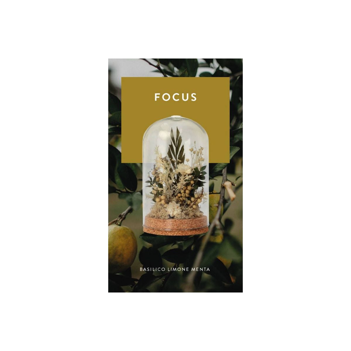 Meridiani Bouquet - Profumatore per ambiente Cloche Botanica con Olio Essenziale Focus