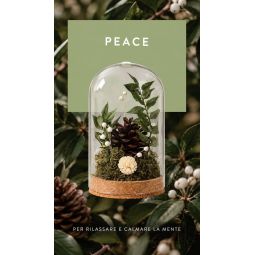 Meridiani Bouquet - Profumatore per ambiente Cloche Botanica con Olio Essenziale Peace