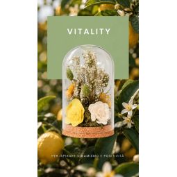 Meridiani Bouquet - Profumatore per ambiente Cloche Botanica con Olio Essenziale Vitality