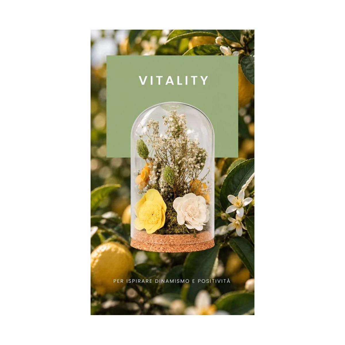 Meridiani Bouquet - Profumatore per ambiente Cloche Botanica con Olio Essenziale Vitality