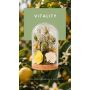 Meridiani Bouquet - Profumatore per ambiente Cloche Botanica con Olio Essenziale Vitality