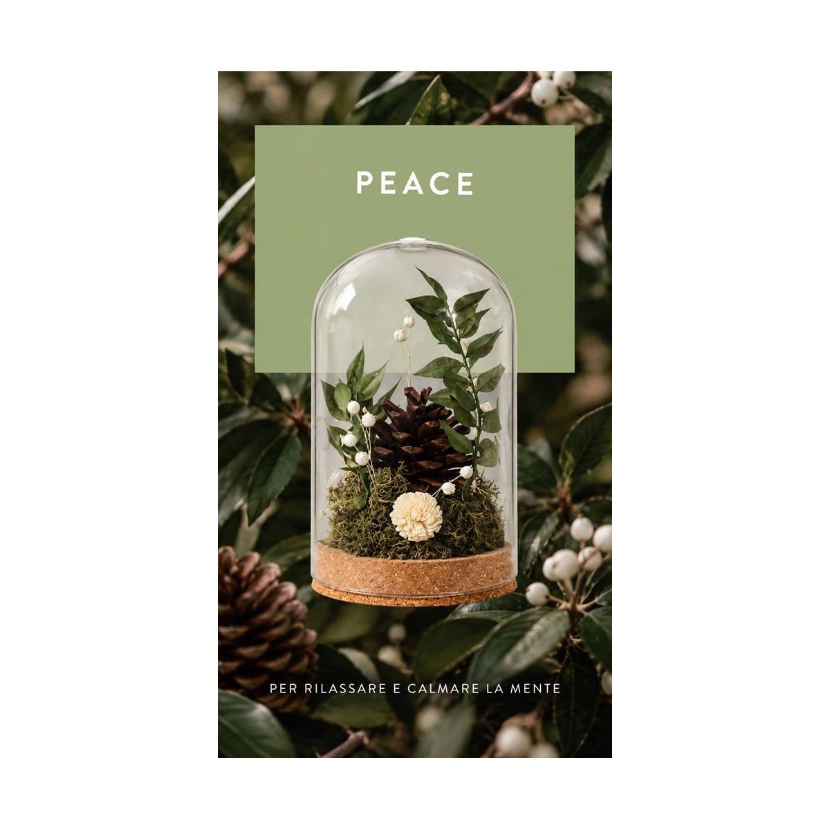 Meridiani Bouquet - Profumatore per ambiente Cloche Botanica con Olio Essenziale Peace