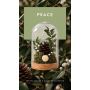 Meridiani Bouquet - Profumatore per ambiente Cloche Botanica con Olio Essenziale Peace