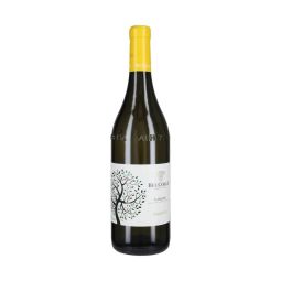 Bel Colle - Langhe Nascetta DOC 2020 0,75 lt. - Enoteca Bevi Bene