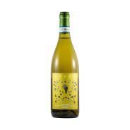 Guido Vada - Langhe Arneis DOC "Ansem" 2024 0,75 lt. - Enoteca Bevi Bene