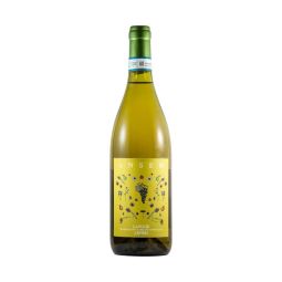 Guido Vada - Langhe Arneis DOC "Ansem" 2024 0,75 lt. - Enoteca Bevi Bene