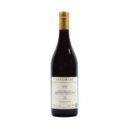 Sottimano - Vino Rosso da uve Brachetto "Matè" 2024 0,75 lt. - Enoteca Bevi Bene