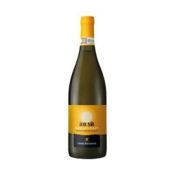 Terre Astesane - Moscato d'Asti DOCG au sù 2024 0,75 lt.